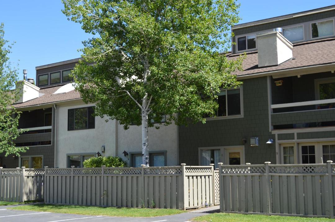 Photo of Others in Ketchum