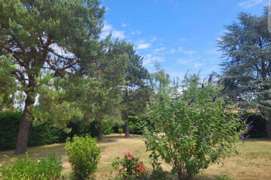 Photo of Others in 17th Arrondissement Batignolles-Monceau