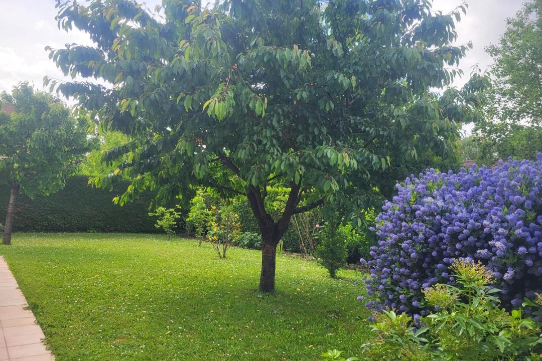 Photo of Outdoor in 17th Arrondissement Batignolles-Monceau