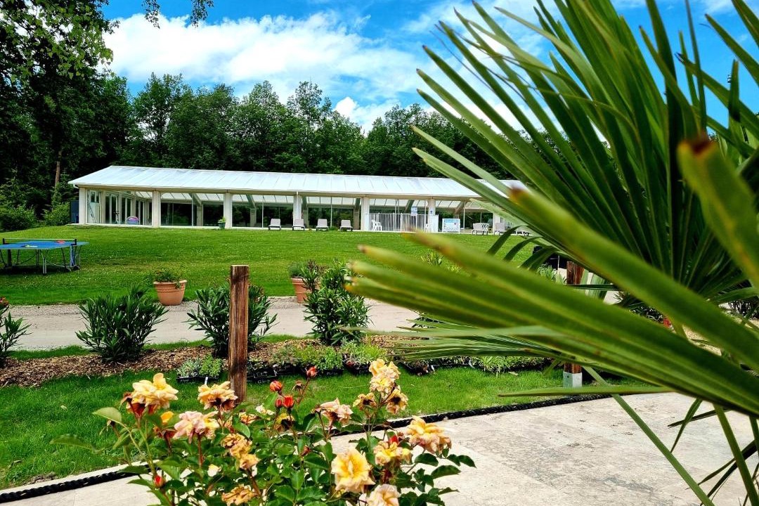 Photo of Others in Nibelle