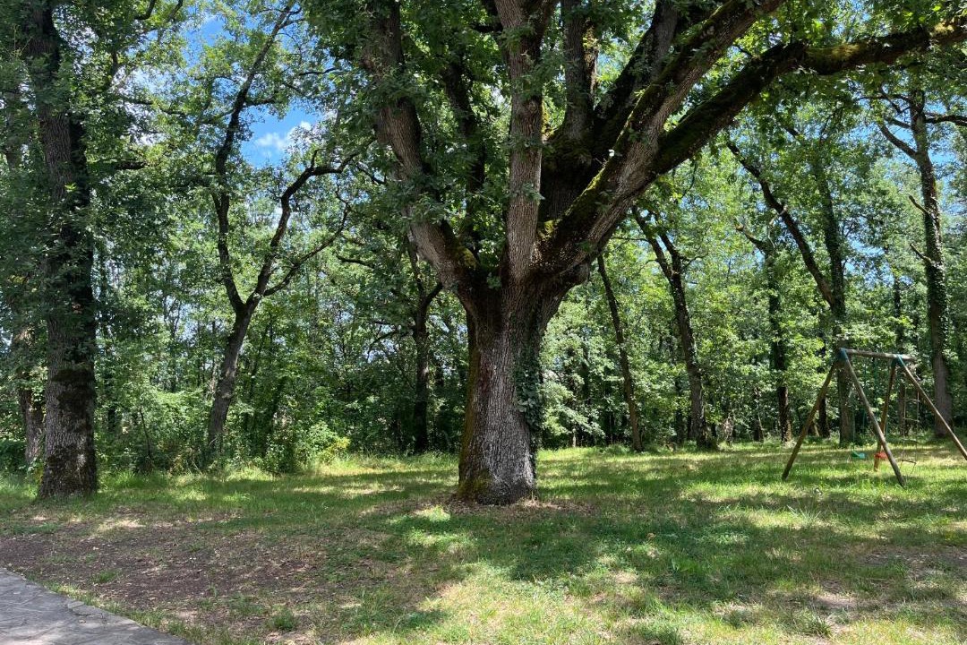 Photo of Outdoor in Avensac
