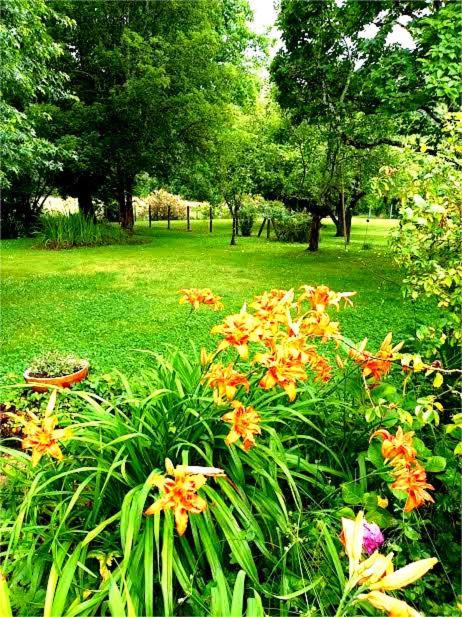 Photo of Outdoor in Pouillon