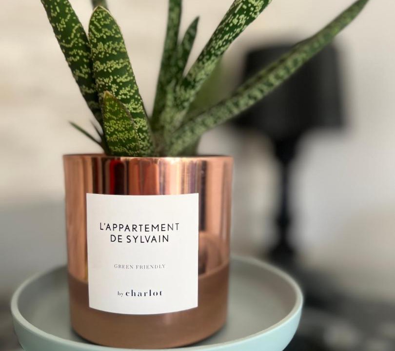Photo of Bathroom in Colombier - Champ de Mars