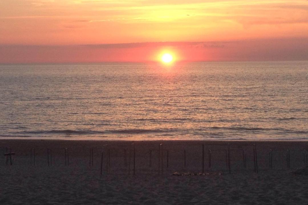 Photo of Others in Saint-Vivien-de-Medoc