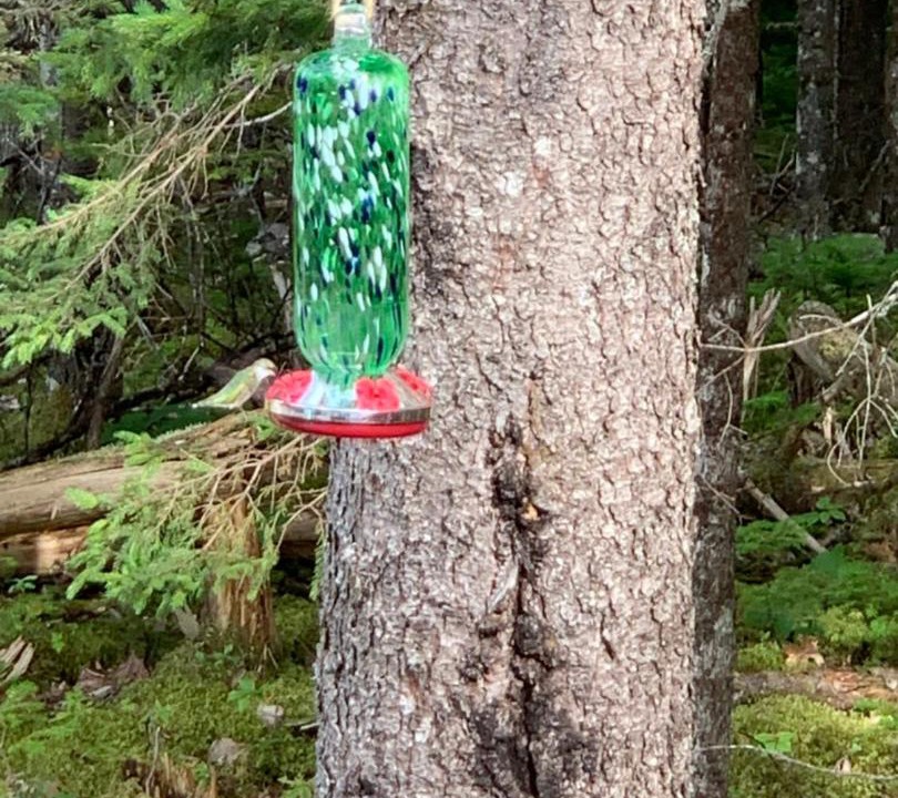 Photo of Others in Chester