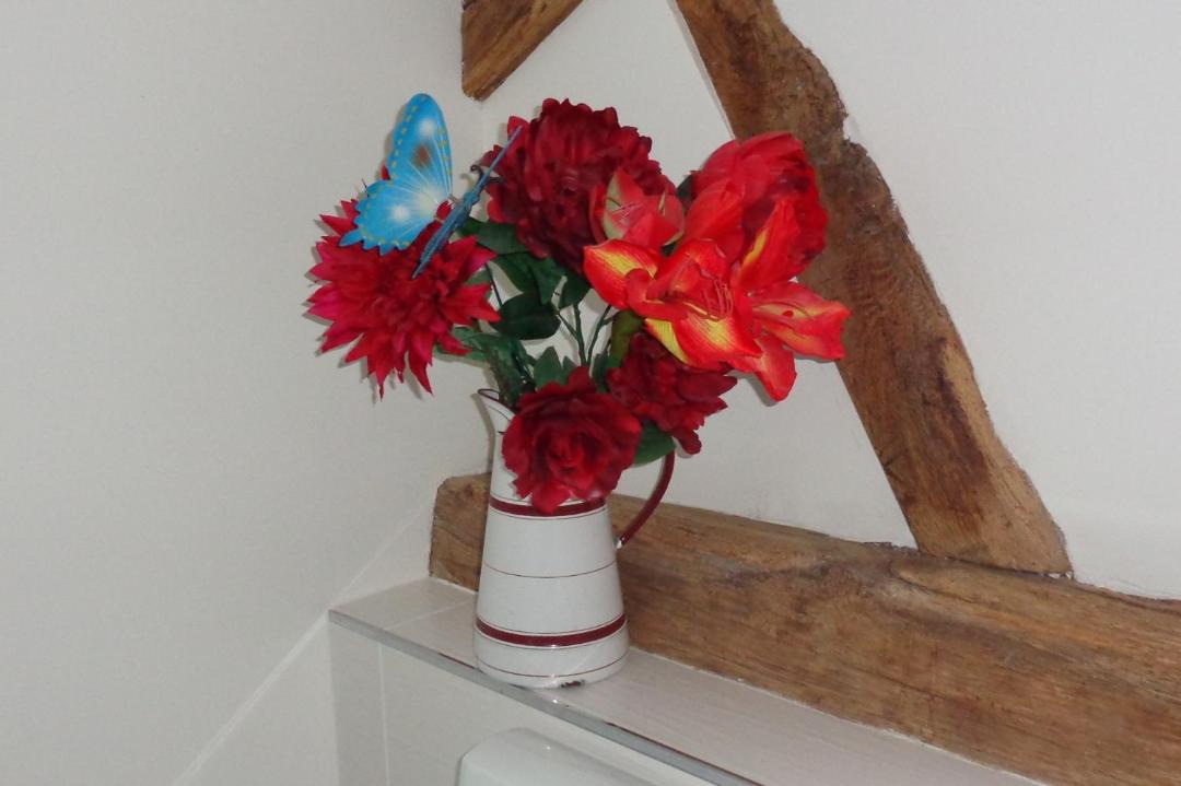 Photo of Others in Saint-Nicolas-les-Citeaux