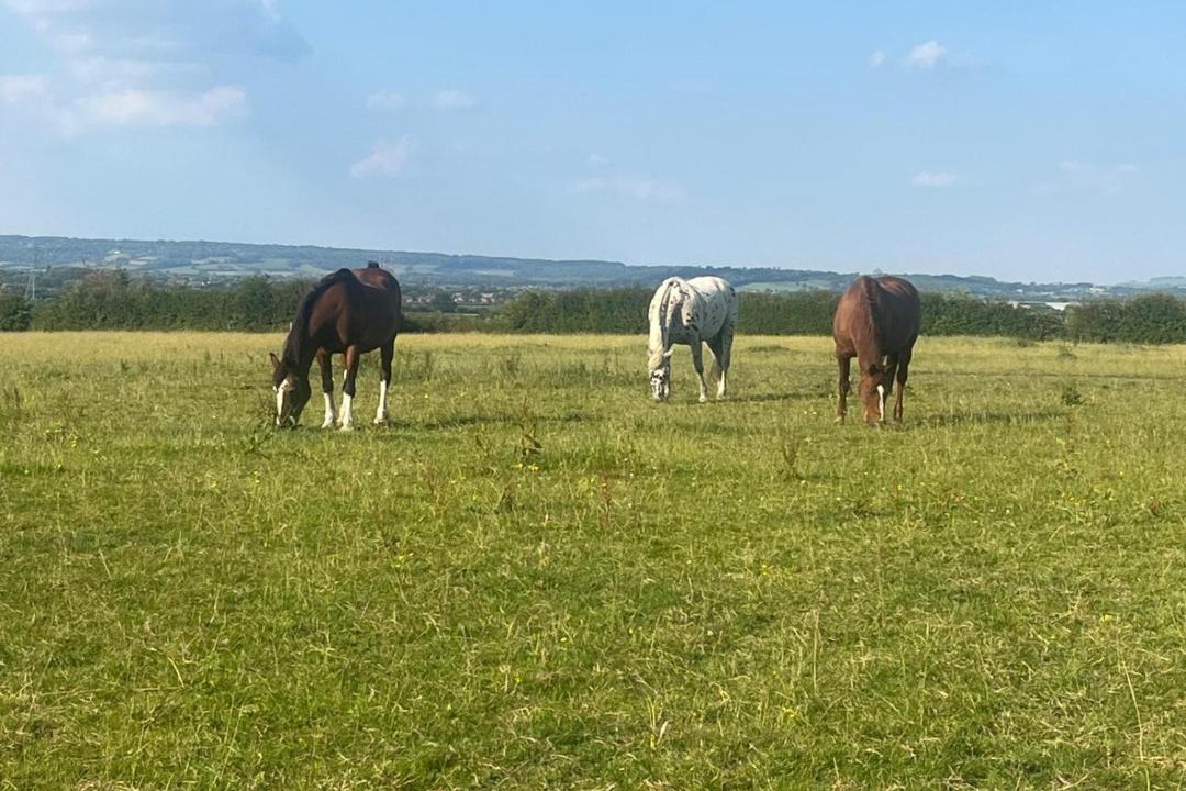 Photo of Others in Whaddon