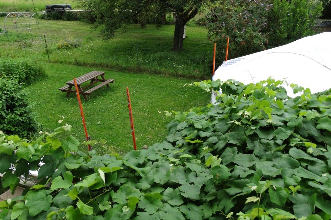 Photo of Others in Villers-Bretonneux
