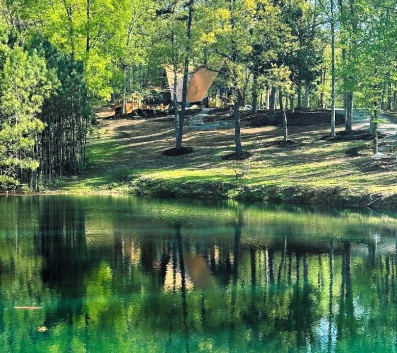 Photo of Others in Rosa