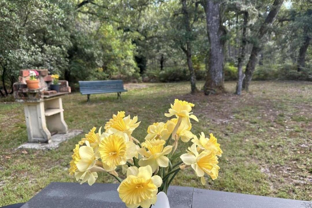 Photo of Others in Argelouse