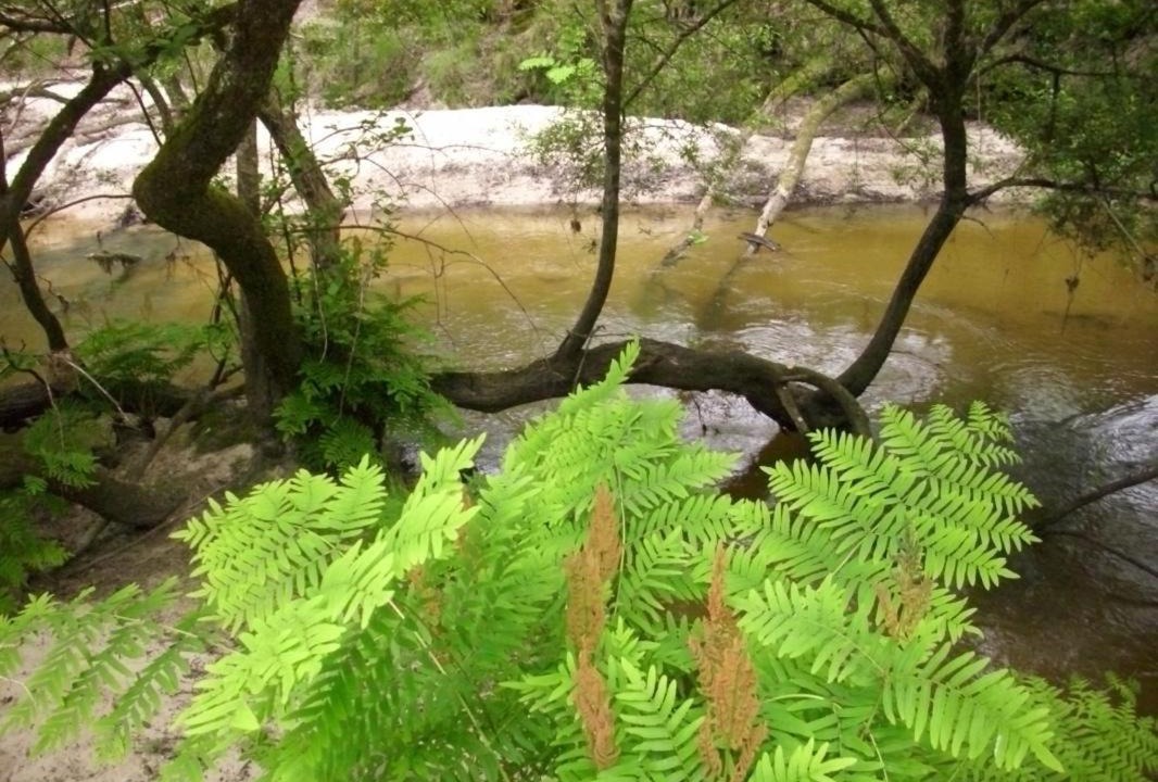 Photo of Others in Argelouse
