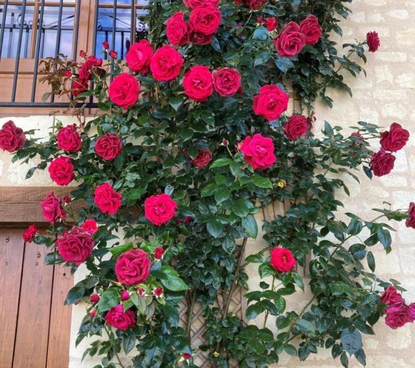 Photo of Others in Bournand