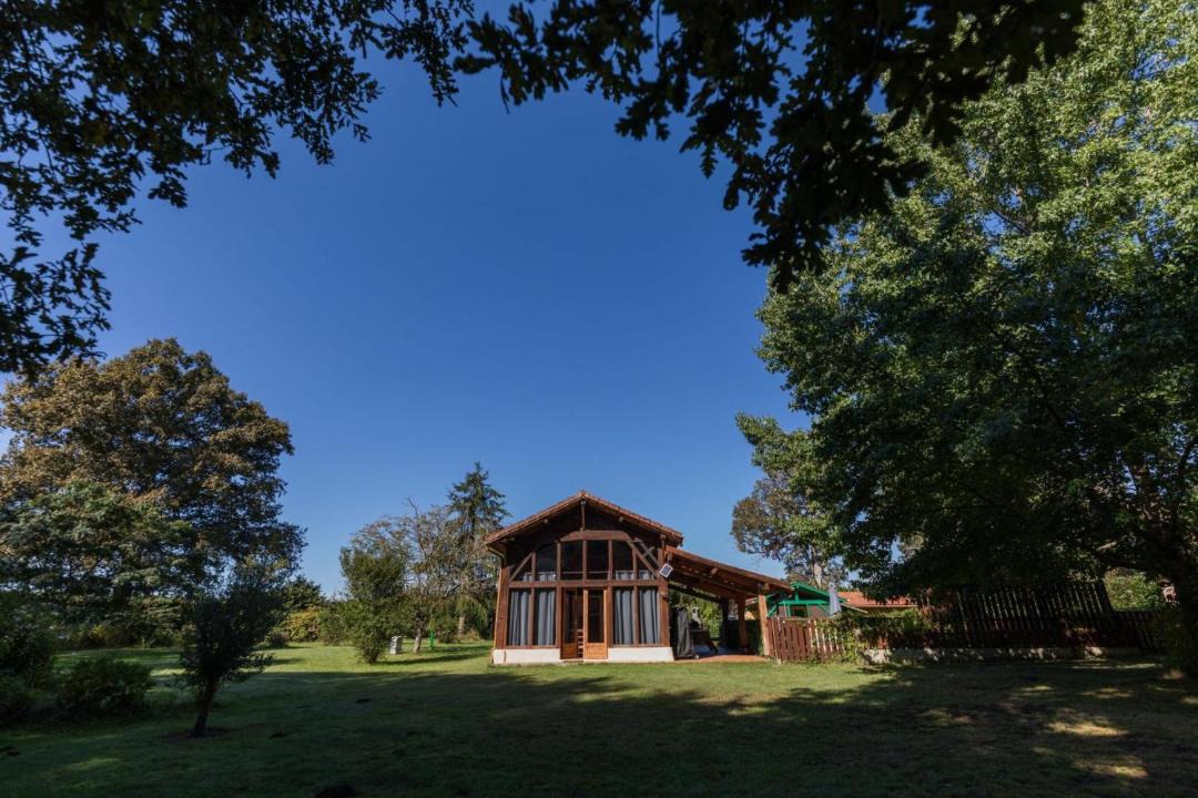 Photo of Others in Belis