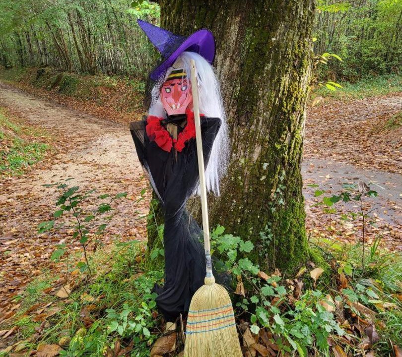 Photo of Others in Lizant