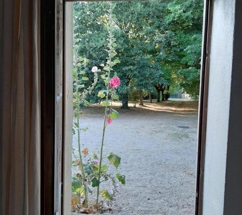 Photo of Others in Cherves