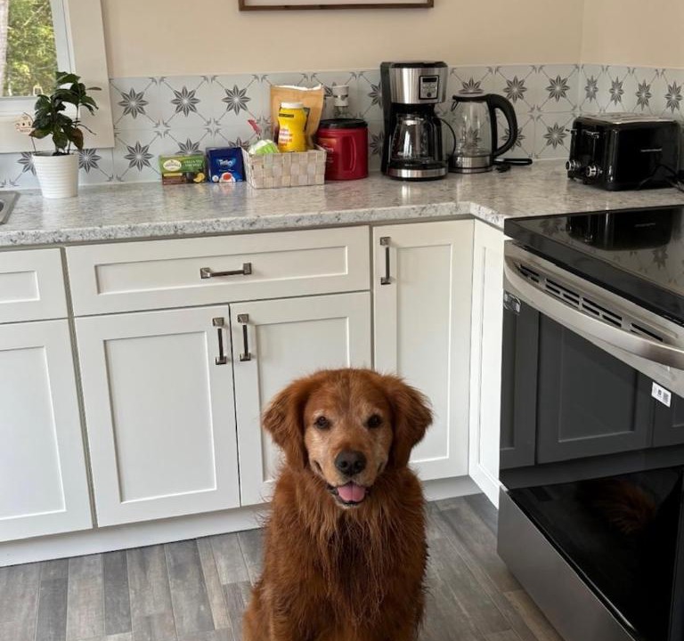 Photo of Kitchen in Saint Croix