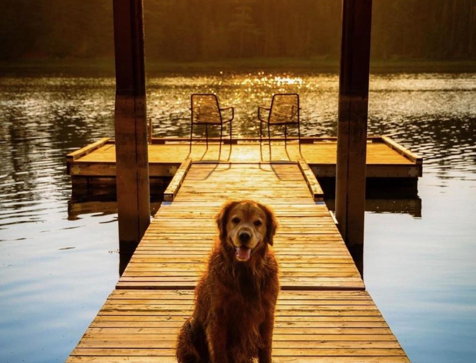 Photo of Others in Saint Croix