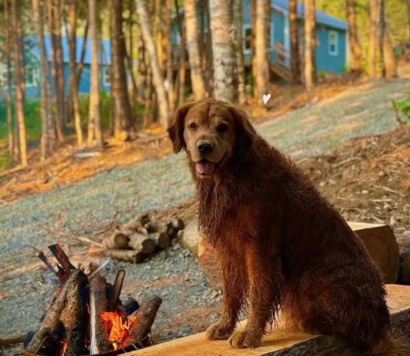 Photo of Others in Saint Croix