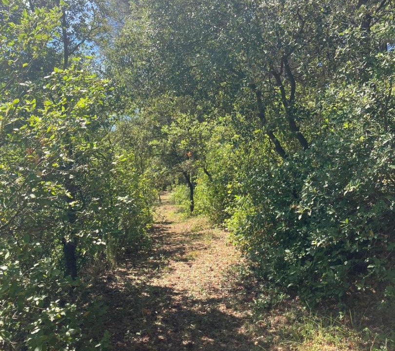 Photo of Outdoor in Lauris