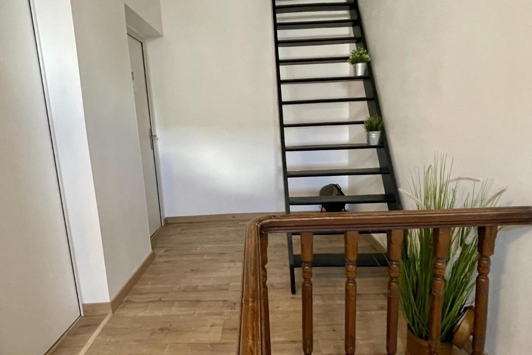 Photo of Others in Lens