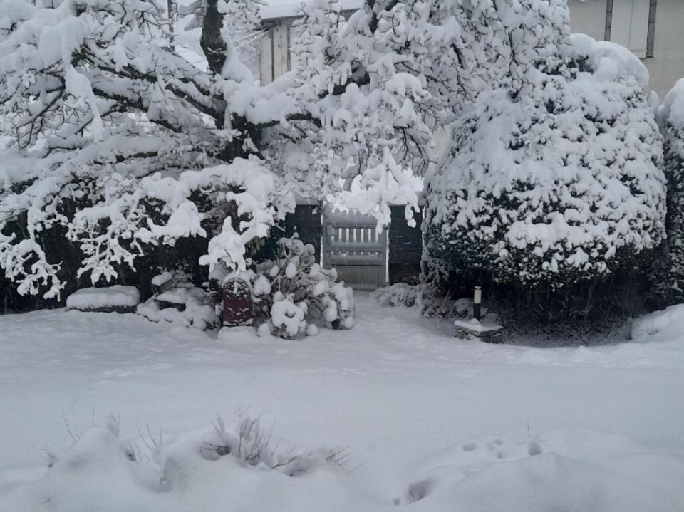 Photo of Others in Lacaune