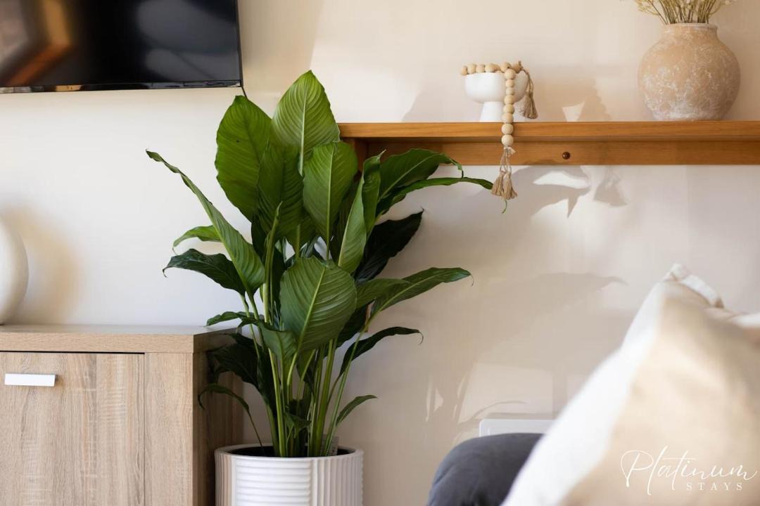 Photo of Others in Horsham