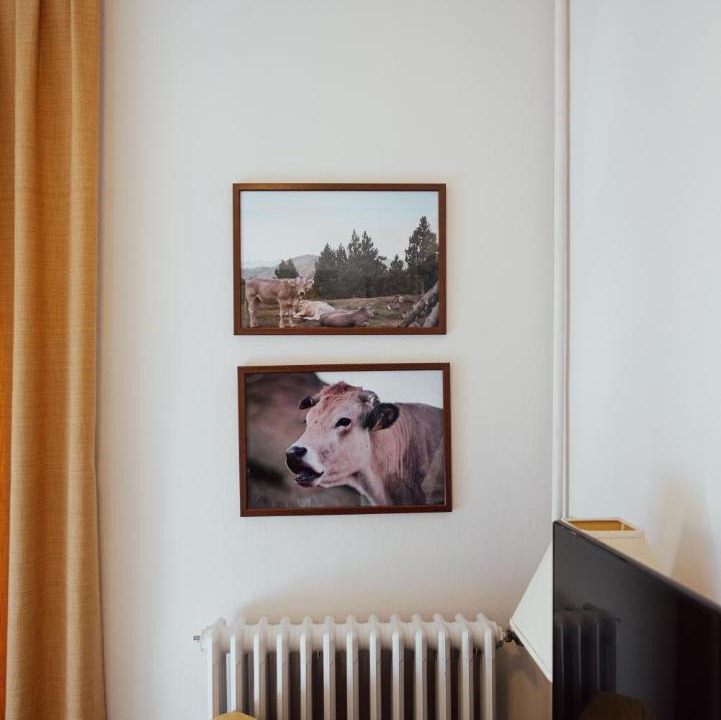 Photo of Others in Sort