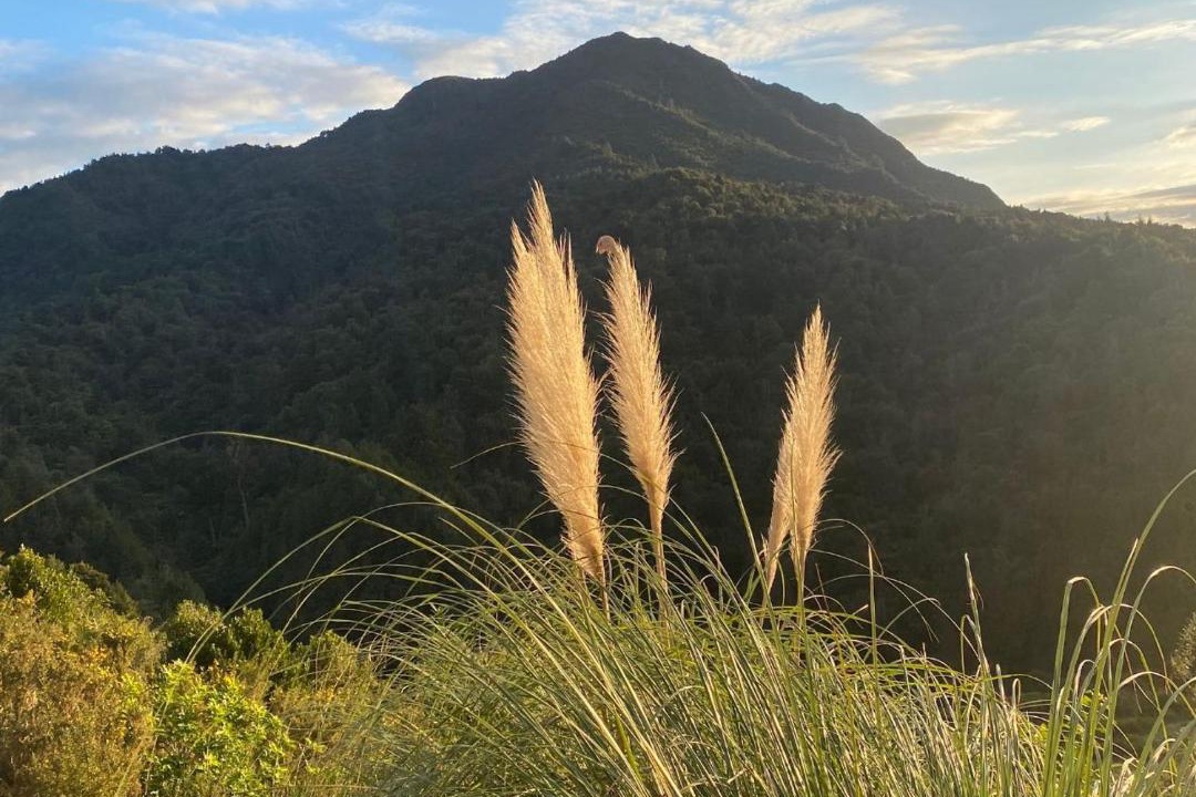 Photo of Others in Waikino