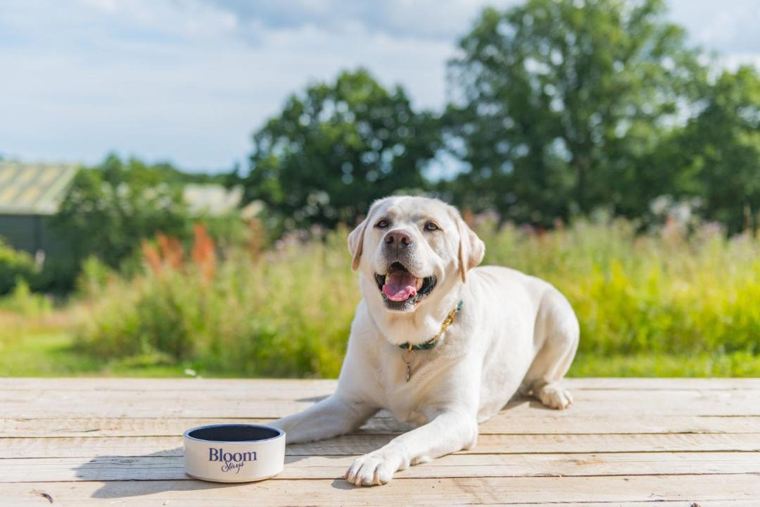 Photo of Others in Abbess Roding