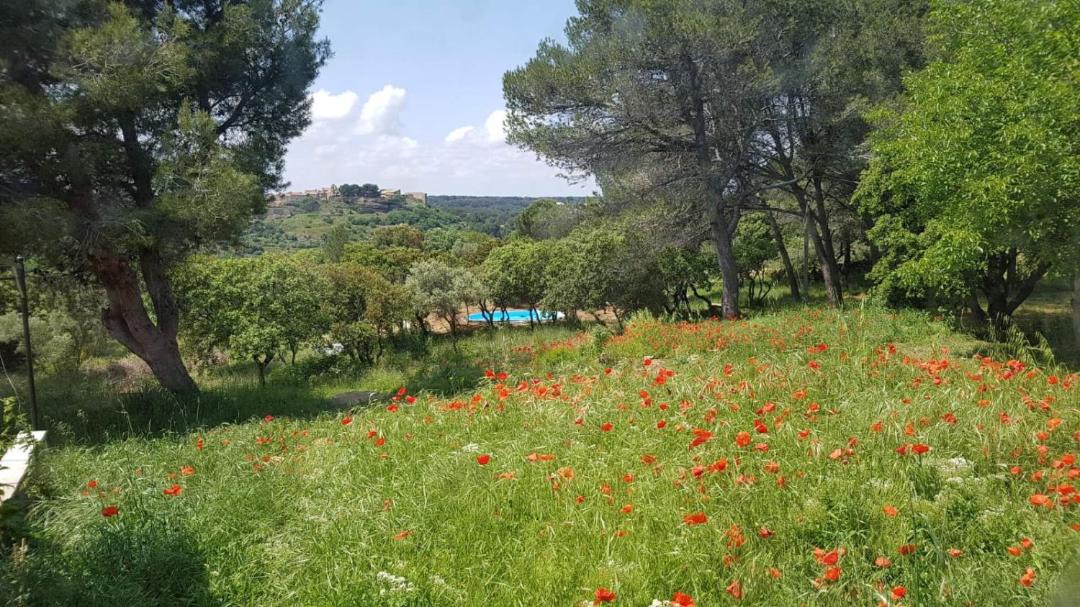 Photo of Outdoor in Miramas