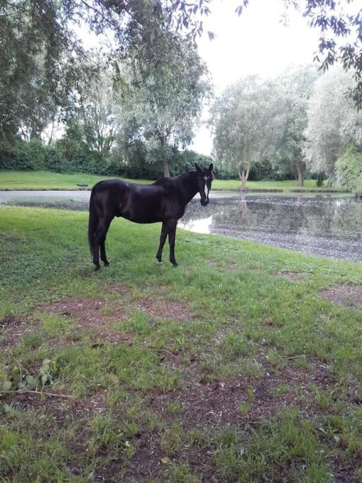 Photo of Others in Lavacourt