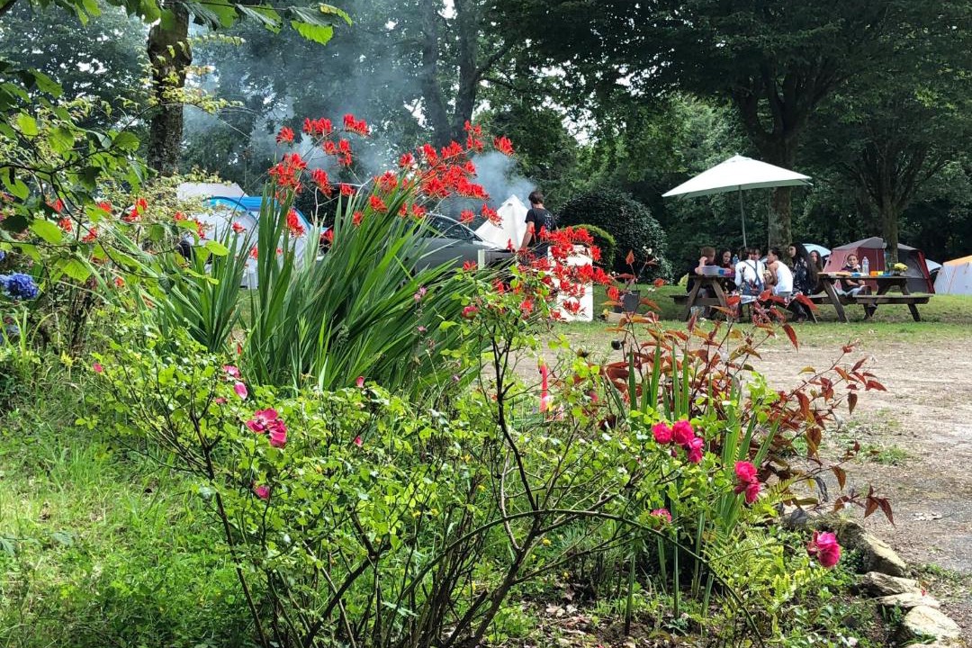 Photo of Others in Commana