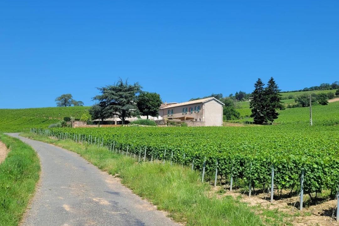 Photo of Others in Julienas