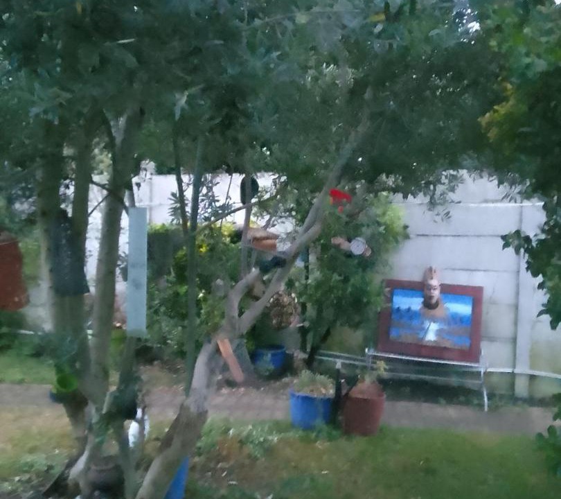 Photo of Others in Romainville