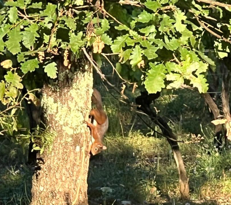 Photo of Others in Prayssac