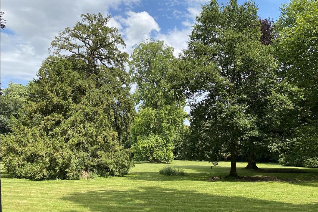 Photo of Others in Elbeuf-en-Bray