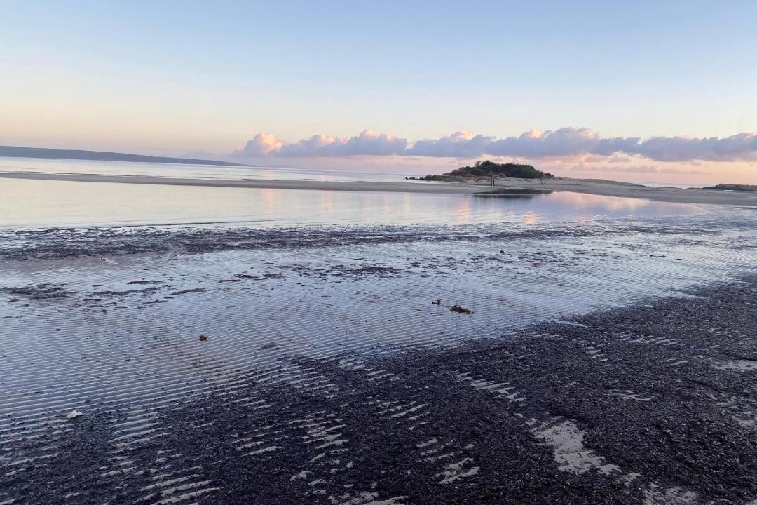 Photo of Others in Baudin Beach