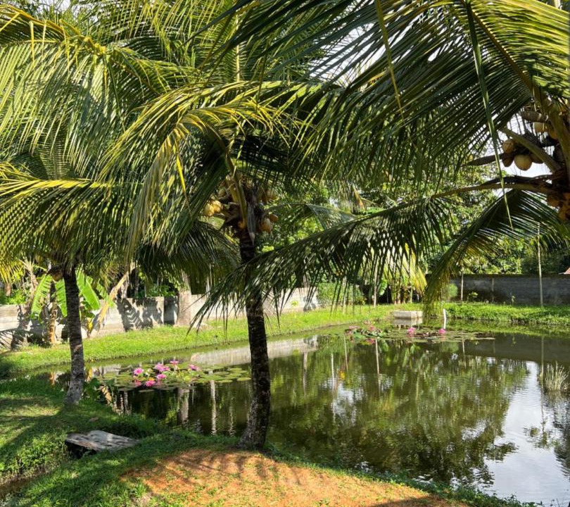 Photo of Others in Airmadidi