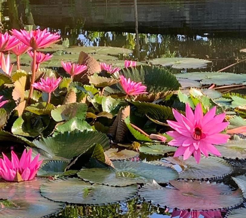 Photo of Others in Airmadidi