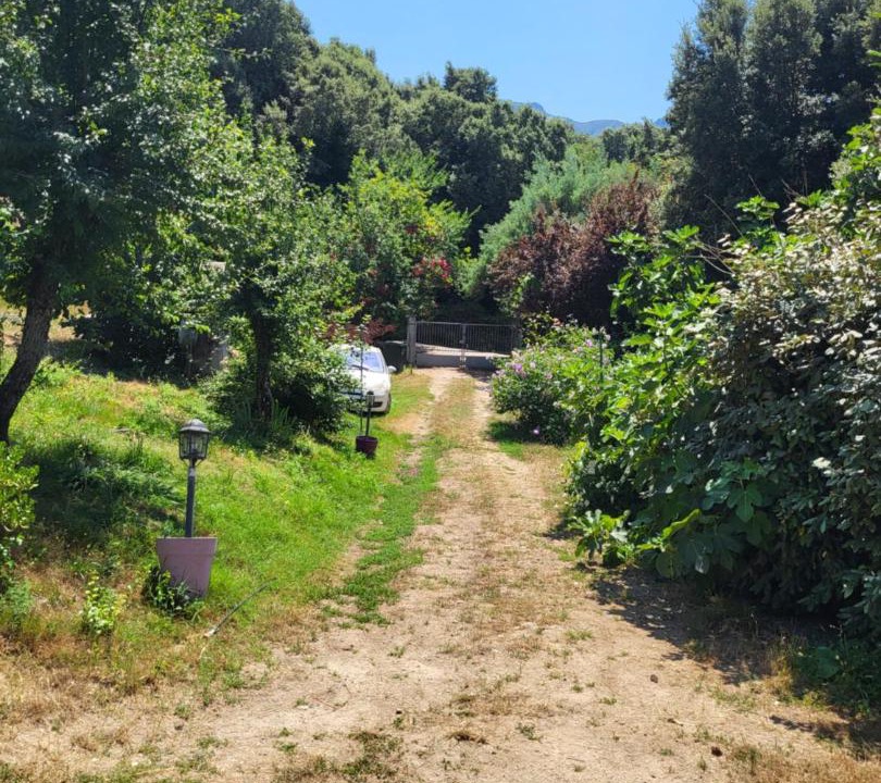 Photo of Outdoor in Ucciani