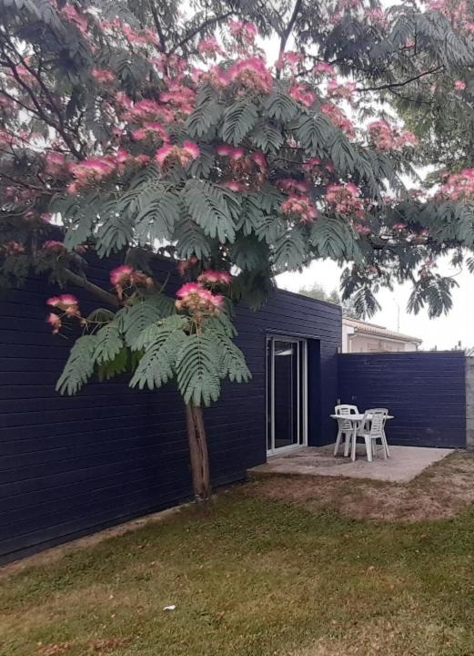 Photo of Others in Saujon