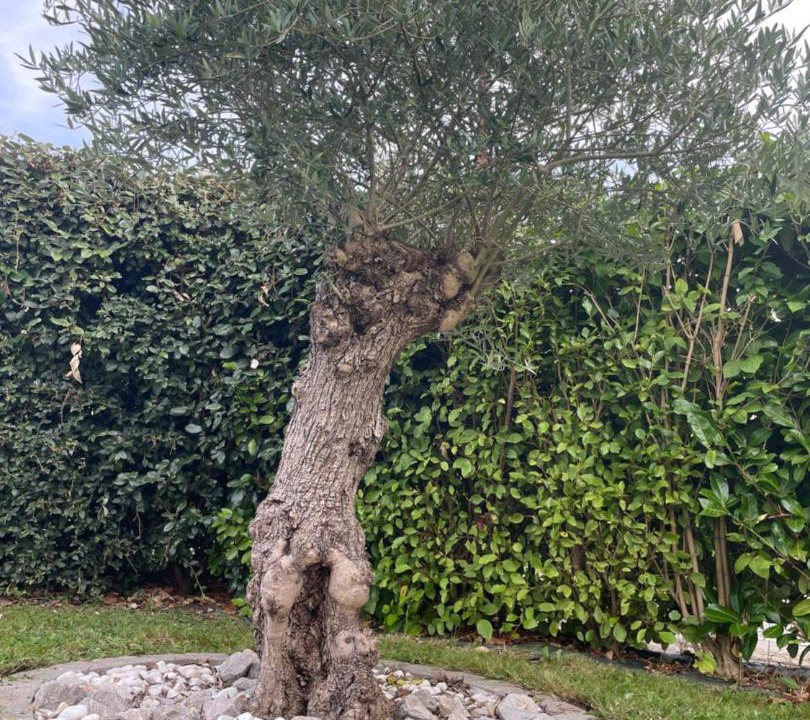 Photo of Others in Bosc-le-Hard