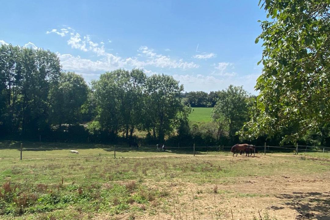 Photo of Others in La Foret-sur-Sevre