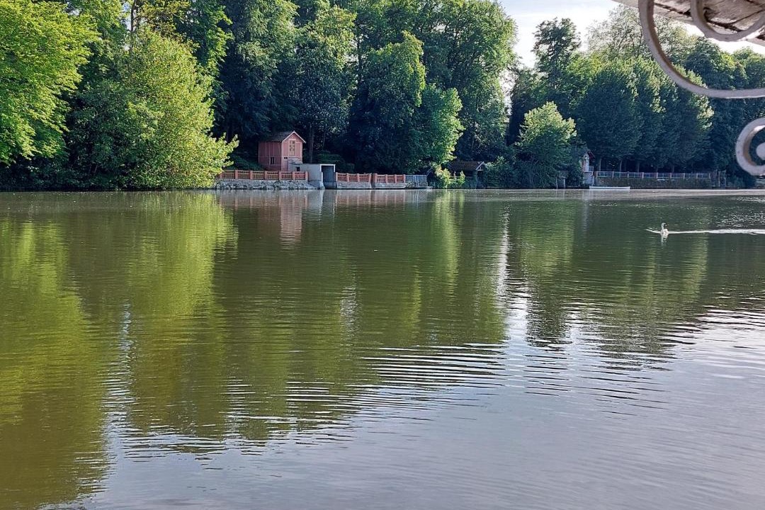 Photo of Outdoor in Olivet