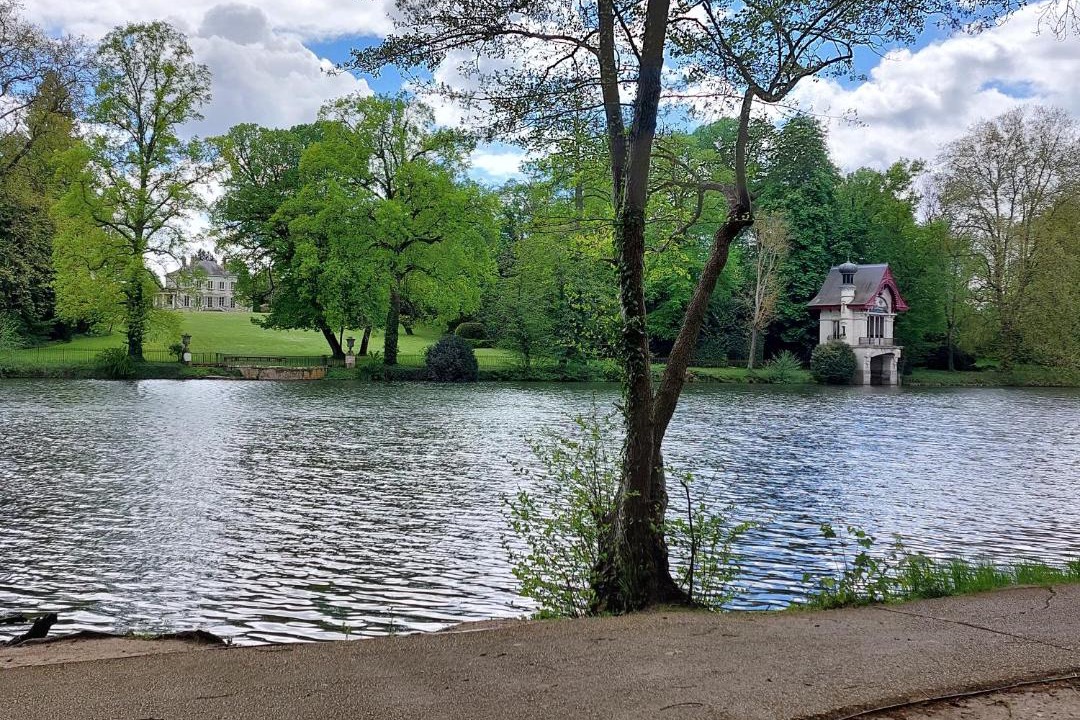 Photo of Others in Olivet