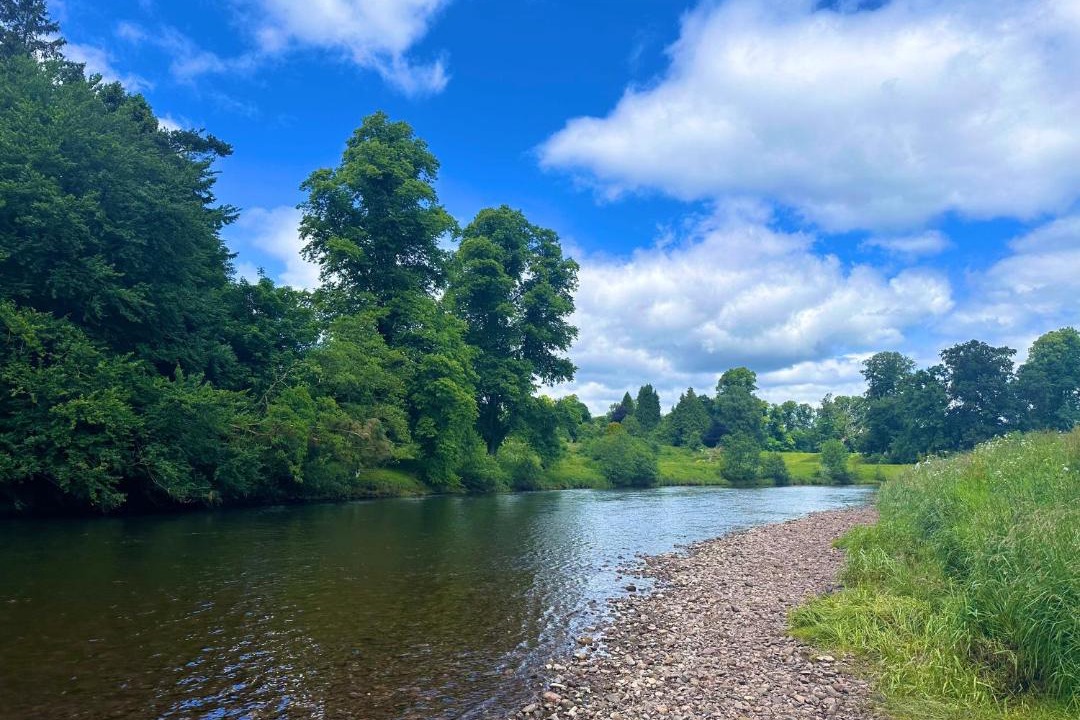 Photo of Others in Rosebank