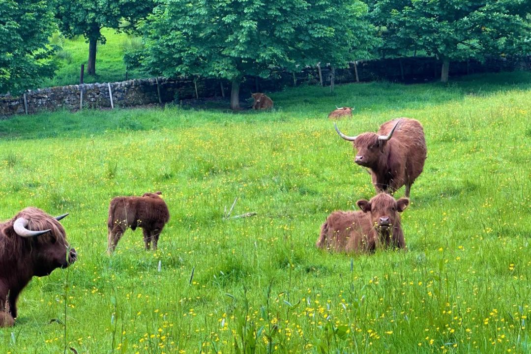 Photo of Others in Rosebank