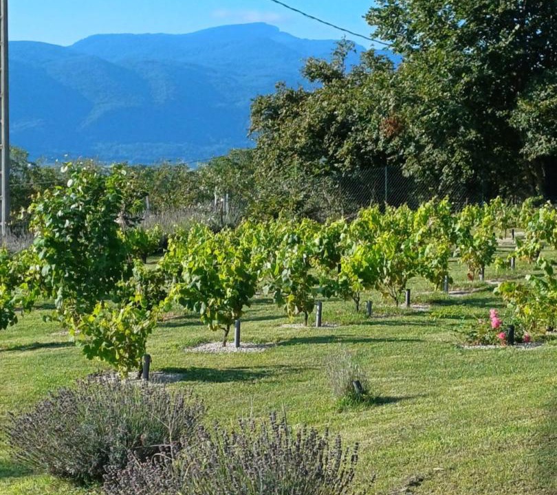 Photo of Others in Saint-Lattier