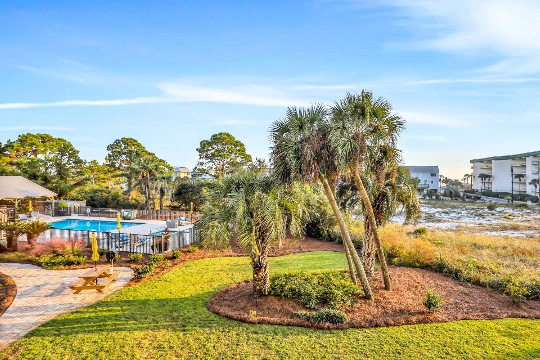 Photo of Others in Seagrove Beach