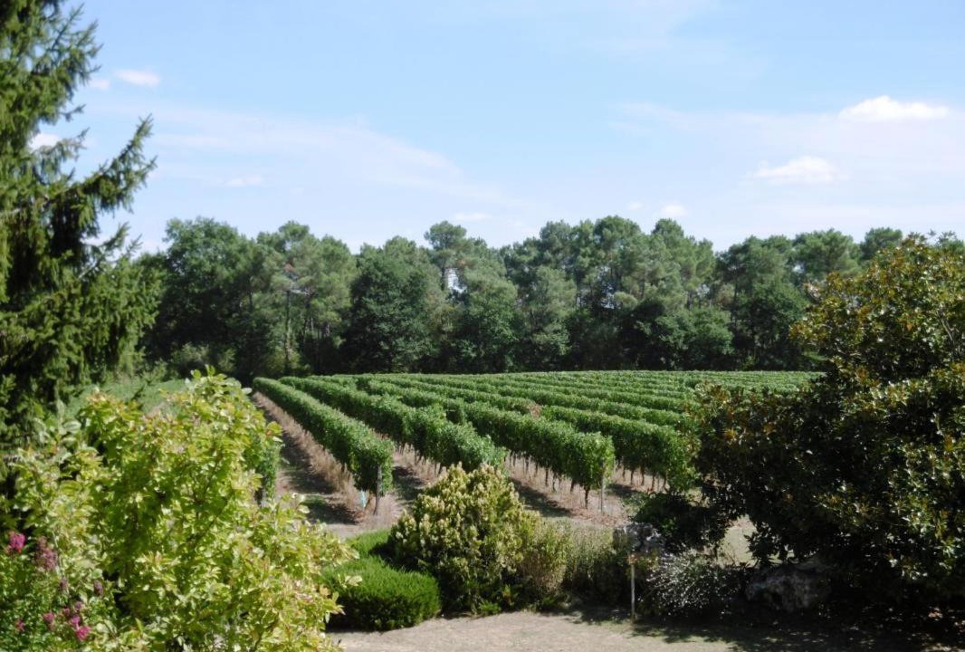 Photo of Others in Betbezer-d'Armagnac